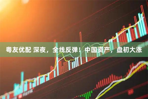 粤友优配 深夜，全线反弹！中国资产，盘初大涨