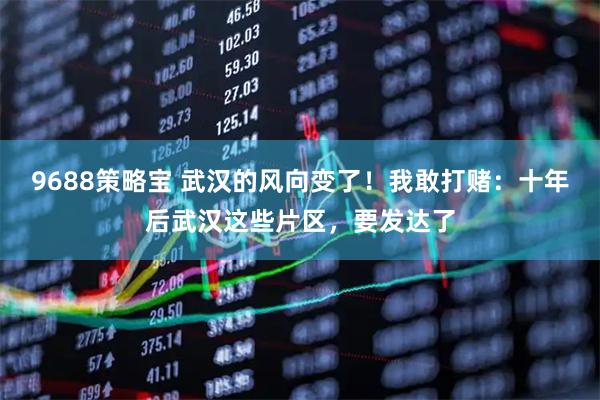 9688策略宝 武汉的风向变了！我敢打赌：十年后武汉这些片区，要发达了