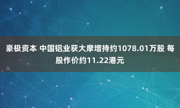 豪极资本 中国铝业获大摩增持约1078.01万股 每股作价约11.22港元