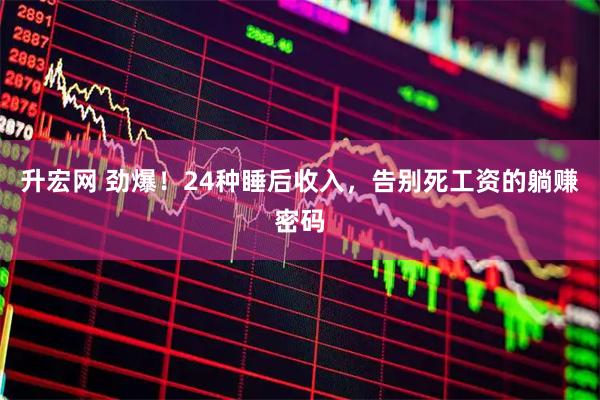 升宏网 劲爆！24种睡后收入，告别死工资的躺赚密码