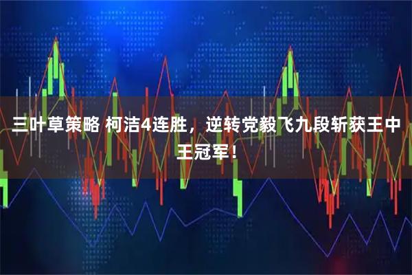 三叶草策略 柯洁4连胜，逆转党毅飞九段斩获王中王冠军！